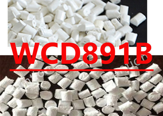 Sabic Noryl  WCD891B